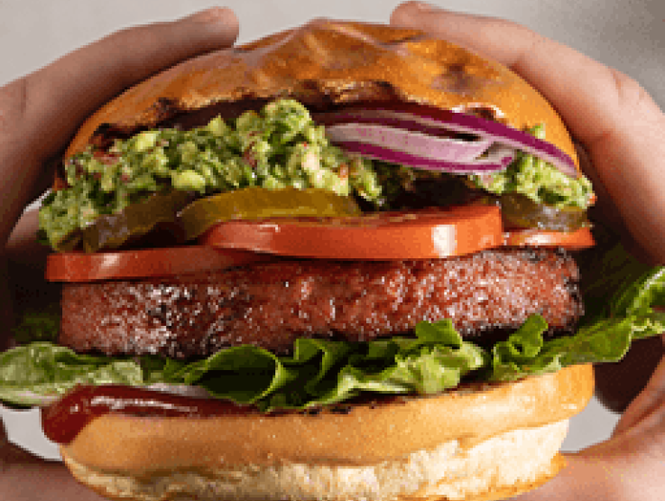 GG Sensational Burger guacamole fries
